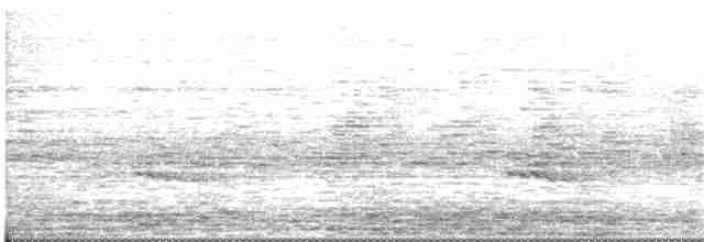 Ошейниковый зимородок - ML110009741