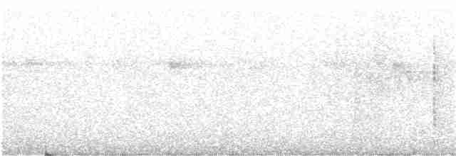 Zeledon Karıncakuşu - ML110018481