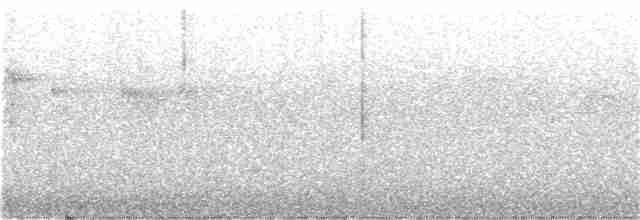 Rostbrust-Ameisendrossel - ML110018591