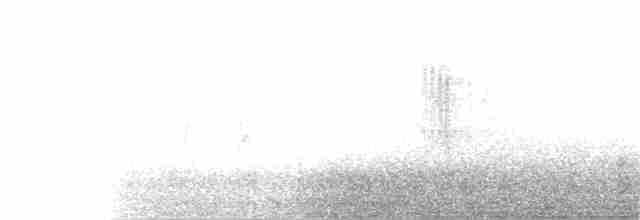 Синицевая колючехвостка - ML110026331