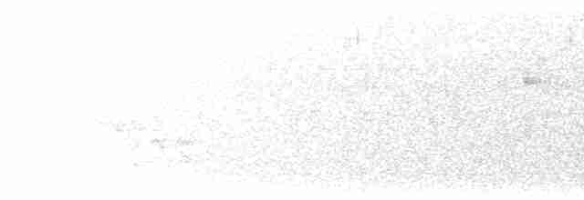 White-bellied Wren - ML110107761