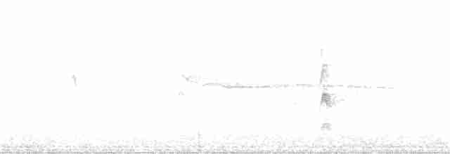 Ширококрылый канюк - ML110160921