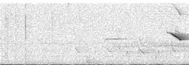 Кобальтовая гуирака (indigotica) - ML110163641