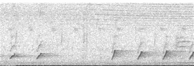 Сичик-горобець рудий [група brasilianum] - ML110165961
