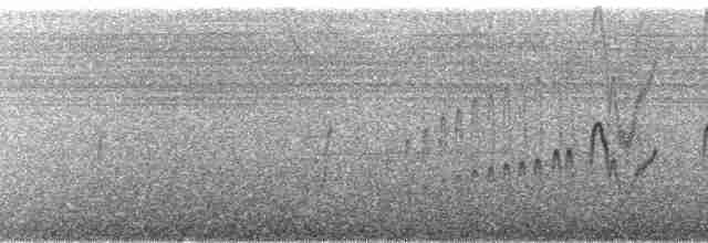 Braunbrust-Glanzvogel - ML110194