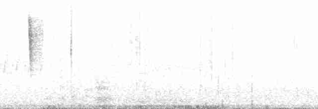 Pine Warbler - ML110202
