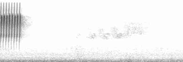 Paruline vermivore - ML110205