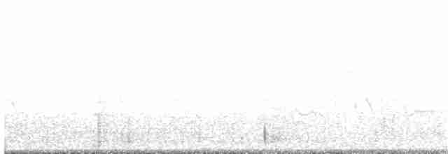 Чагарниця біловуса - ML110226531