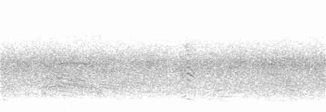 Серпокрилець білочеревий - ML110296021