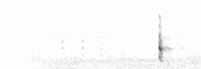 Büyük Kiskadi Tiranı - ML110355471