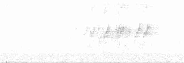 Çivit Kanatlı Serçe Papağanı - ML110381621