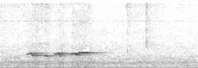 Белогрудый крапивник - ML110423021