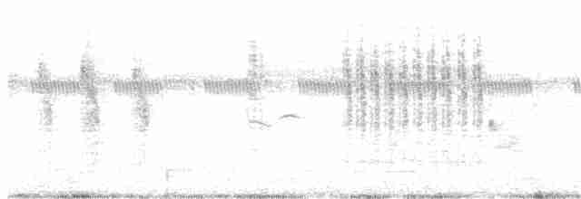 Grass Wren (Northern) - ML110425941