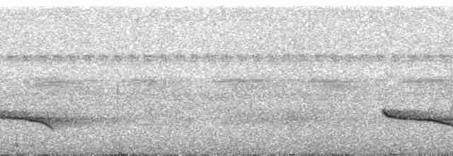 Slaty-capped Shrike-Vireo (Slaty-capped) - ML110456