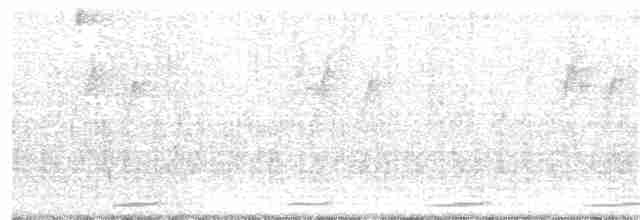 Toucan Barbet - ML110477471
