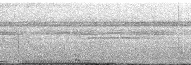 Ak Kanatlı Borazankuşu - ML110500