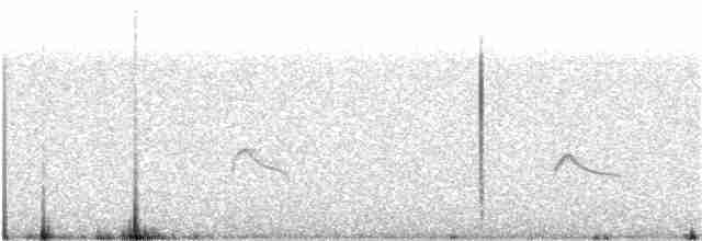 Little Ringed Plover - ML110505201
