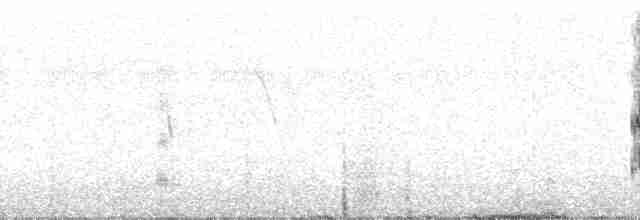 Зелонощёкая которра - ML110533