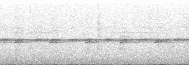 Gray-headed Kite - ML110548