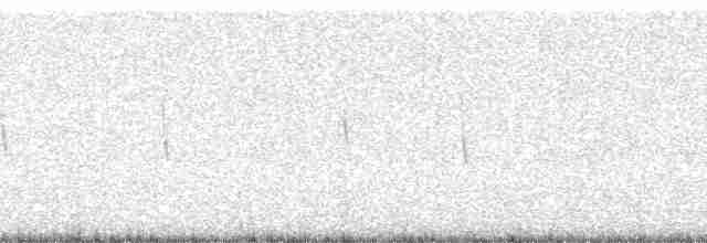 Tel Kuyruklu Çölyıldızı - ML11055