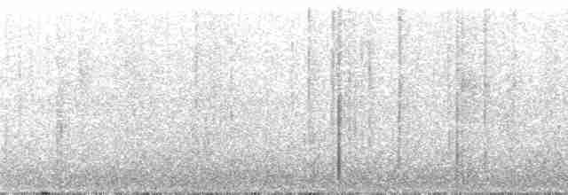 Black-banded Woodcreeper (Spot-throated) - ML110578