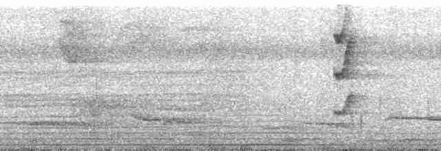 Большеклювый колибри-отшельник [группа moorei] - ML110609