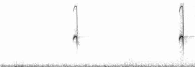 Koca Kolibri - ML11062
