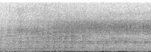 sepiatreløper (atrirostris/trumaii) - ML110622