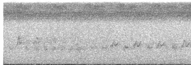  - Fly River Grassbird