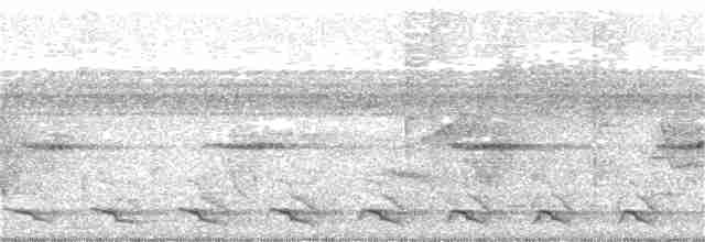 Troglodyte siffleur - ML110643821