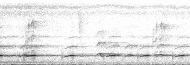 Toucan à bec rouge (cuvieri/inca) - ML110646