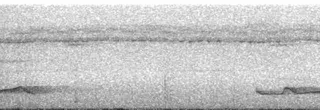 Silky-tailed Nightjar - ML110704
