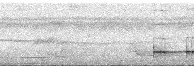 Graubrust-Ameisendrossel - ML110714