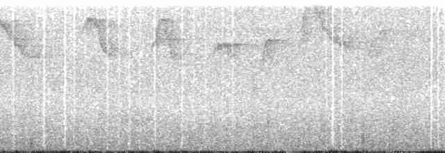 Коричневый колибри-отшельник - ML110715