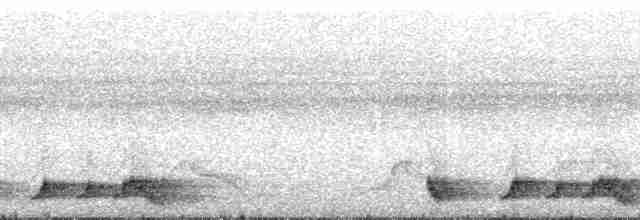 Rufous Nightjar (South American) - ML110723