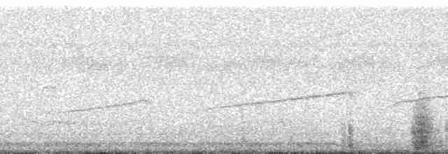 Al Gerdanlı Islıkçı Guan (nattereri) - ML110724