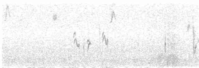 Conirostre géant - ML110729821