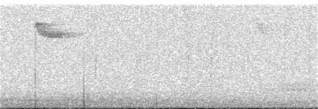 Amerika Tırmaşıkkuşu (pernigra) - ML110751931