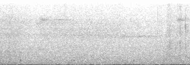 Колібрі-лісовичок буроголовий - ML110789