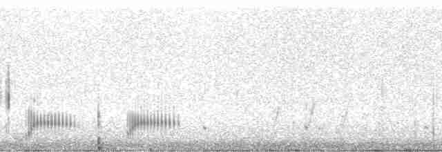 Савка андійська (підвид ferruginea) - ML11082