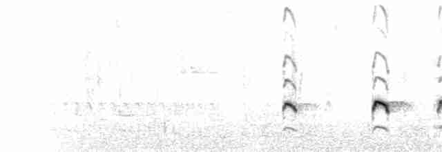 Chaparralgrasmücke - ML110980541