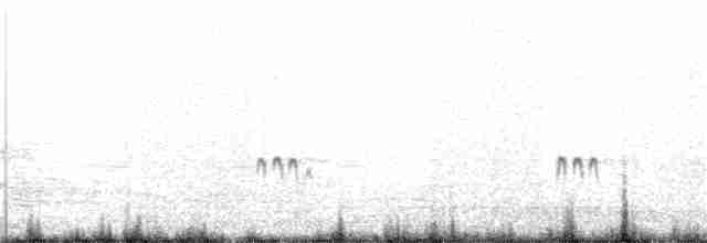 Wüstenregenpfeifer - ML111059111