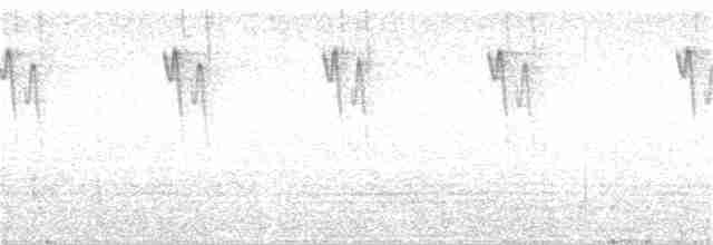 Солнечный колибри-отшельник - ML111093311