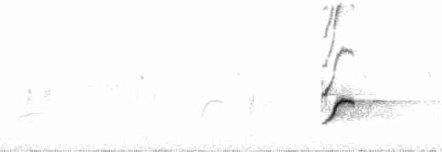 gulbrystparula (auricollis) - ML111102