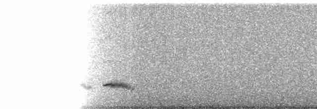 Sinsonte Norteño - ML11120