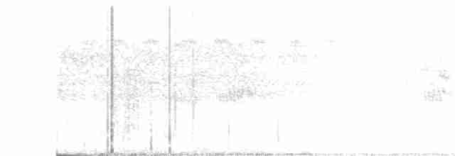 Ошейниковый лесной сокол - ML111230661