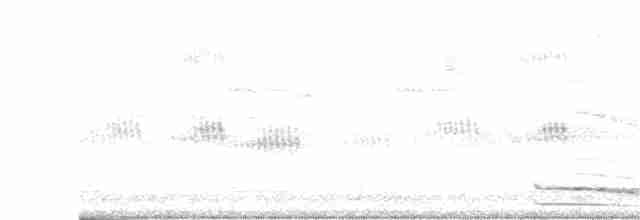 Ошейниковый лесной сокол - ML111230671
