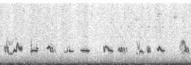 Beifuß-Spottdrossel - ML11136