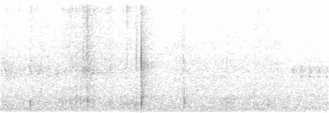 Weißbinden-Ameisenvogel - ML111461651