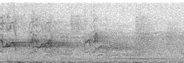 Большой воронец [группа nipalensis] - ML111502